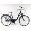 Mestsky bicykel - Amort. (Amort.)