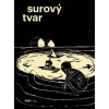 Surový tvar (Lukáš Palán)