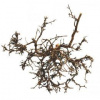 Lucky Reptile Desert Bush přírodní 25-40 cm přírodní cca 25-40 cm