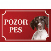 Drentský prepeličiar - Kovová tabuľka POZOR PES