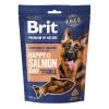 Brit Premium Dog by Nature SM Snacks Salmon 180 g
