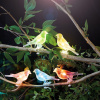 Garden of Eden Solárna sveteľná reťaz - vtáčik, so štipcom - 80 cm - 5 farebných , RGB LED