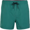 O'Neill PM CALI PANEL SHORTS zelená Pánske šortky do vody XXL