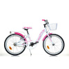 Dino Bikes 204R 2022