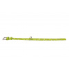 COLLAR Kožený obojok s hviezdami Glamour, 21-29cm/12mm, zelená