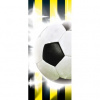 Dverová fototapeta - DV0196 - Futbalová lopta 91cm x 211cm - Samolepiaca fólia