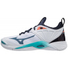 Mizuno Wave Momentum 2 V1GA211236 (EU 51 (UK 15))