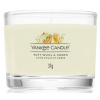 Yankee Candle votív v skle - Soft Wool & Amber 37 g