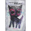 Praha - Tomáš Straka
