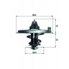 Termostat chladenia MAHLE TX 36 71D