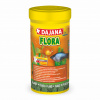 Dajana Flora 250 ml