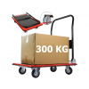 VOZÍK PREPRAVNÁ PLATFORMA 300 KG SKLADACIA SKLADOVACIA, SILNÁ