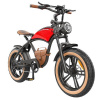 Elektrobicykel Hidoes B10, 1000W, 48V 13Ah, 20x4,0