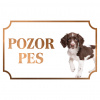 Drentský prepeličiar - Kovová tabuľka POZOR PES
