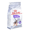 Royal Canin CCN MINI STERILISED - suché krmivo pre dospelých psov - 3 kg