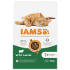 IAMS Cat Adult Lamb 10 kg