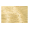 Subrina Professional Colour Permanent Essential 10/0 100ml