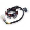Stator zapaľovania 6-cievkový pre pitbike YCF 50