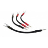 Chord Signature Links ChordOhmic Silver Banánky na Banánky x4