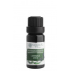 Nobilis Tilia éterický olej Levanduľa širokolistá (spaik) 10 ml