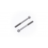 Bolt sada skrutiek M6x1,0x55 SW8 Euro Style 10ks