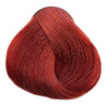 LOVIEN ESSENTIAL LOVIN Color farba 100ml - Light Copper Mahogany Blonde 77.44