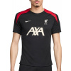 Nike Tričko Liverpool FC Strike s krátkým rukávem FN9838-013
