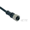 TE Connectivity TE AMP Consumer Cable Assembly Products 1838247-3, 1 ks; 1838247-3