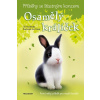 Příběhy se šťastným koncem Osamělý králíček - Jill Hucklesby