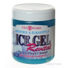Vivapharm Ice gél Revital Menthol a Eukalyptus 250 ml