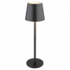 Globo 58438G