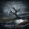 Buried in the Hail - Dom Martin LP