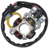 ELECTREX ST4458 - stator pre modely YAMAHA YZF 450 (06-09)