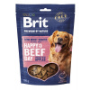 Brit Premium Dog by Nature SM Snacks Beef 180 g
