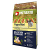 ONTARIO Puppy Mini Chicken & Potatoes & Herbs 6,5kg