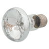 Repti Planet Daylight Basking 25W