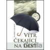 Vítr čekající na déšť - Robert Neubert