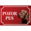 Maďarský stavač (Vyžla) drôtosrstý - Kovová tabuľka POZOR PES