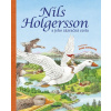 Nils Holgersson a jeho zázračná cesta - Anne Suessová