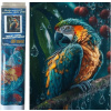 Norimpex Diamantové maľovanie Papagáj v daždi 40x30cm