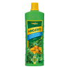 Forestina KAPKA Izbové nekvitnúce rastliny 1000 ml