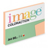 Savana Coloraction A4 80 g/m2 100 listů