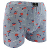 Lonka Kevin Image Pánske boxerky BM000000626500101180 plameniaky 3XL