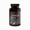 Čaga sibírska FORTE - 60 vegánskych kapsúl (600mg/ kapsula) -