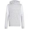 adidas Squadra 25 Sweat Hoody Jr JD4808