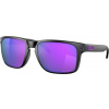 Oakley Sluneční brýle HOLBROOK XL Universal