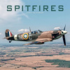 Spitfires, 30,5 x 30,5 30,5 x 61 cm 2026