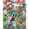 ZUTY Maľovanie podľa čísel - VTÁKY A BIELE KVETY (HOWARD ROBINSON) Rámovanie: bez rámu a bez vypnutia plátna, Rozmer: 80x100 cm