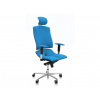 Asana Architect