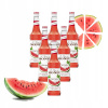 SET Chuťový sirup MONIN WATERMELON - melónový 6x700 ml